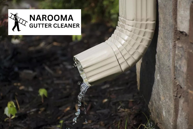 
Gutter clean in Brogo ensures Brogo downpipes are unobstructed