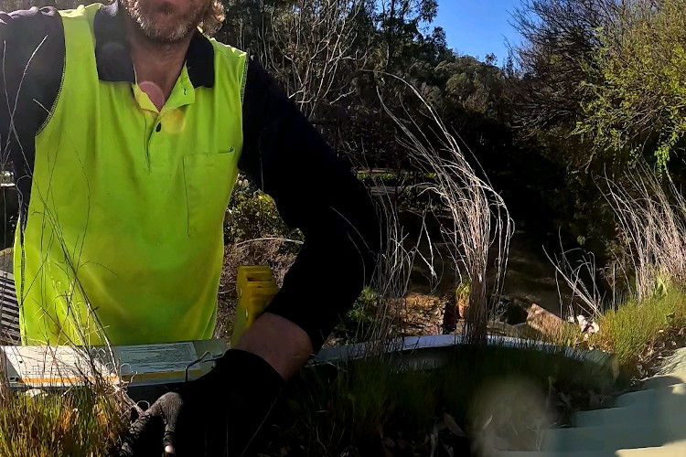 
A green takeover: gutters in narooma, cleaner stands ready.