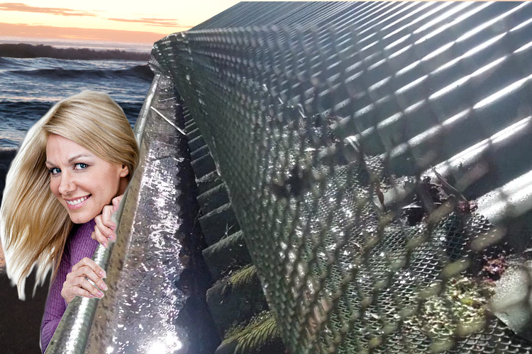 
Observant narooma Woman Checks Freshly Cleaned Gutter with Guards