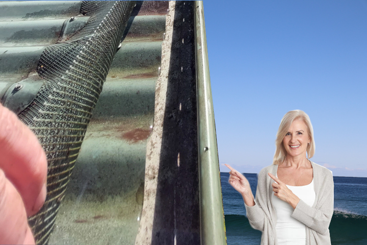 
narooma Woman Radiates Satisfaction After Under Gutter Guard Cleaning